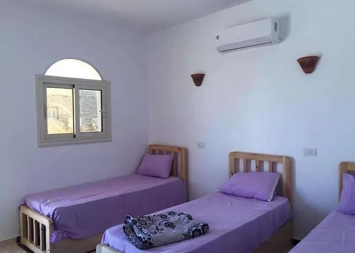 Taj Camp * Wāsiţ